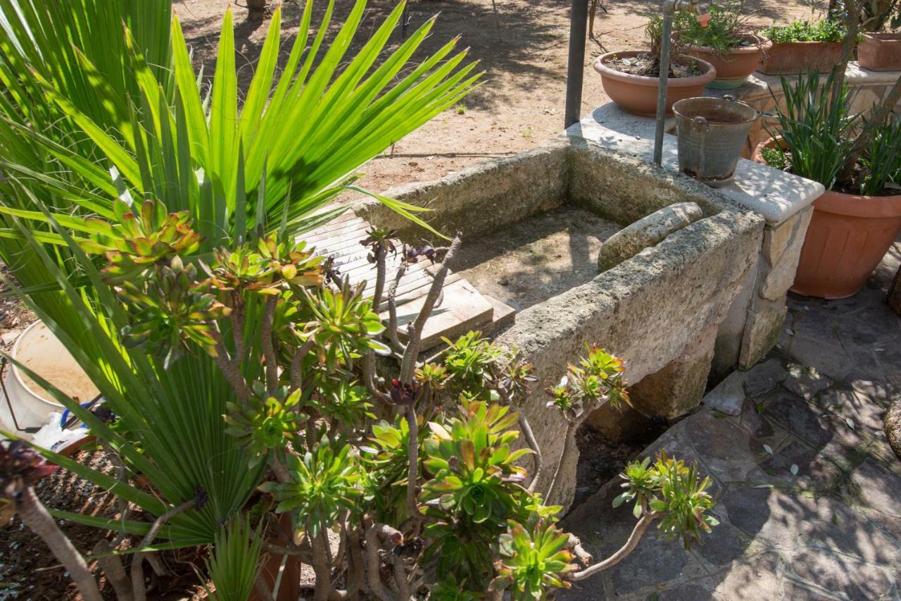 Villa Milù Torre San Giovanni Extérieur photo